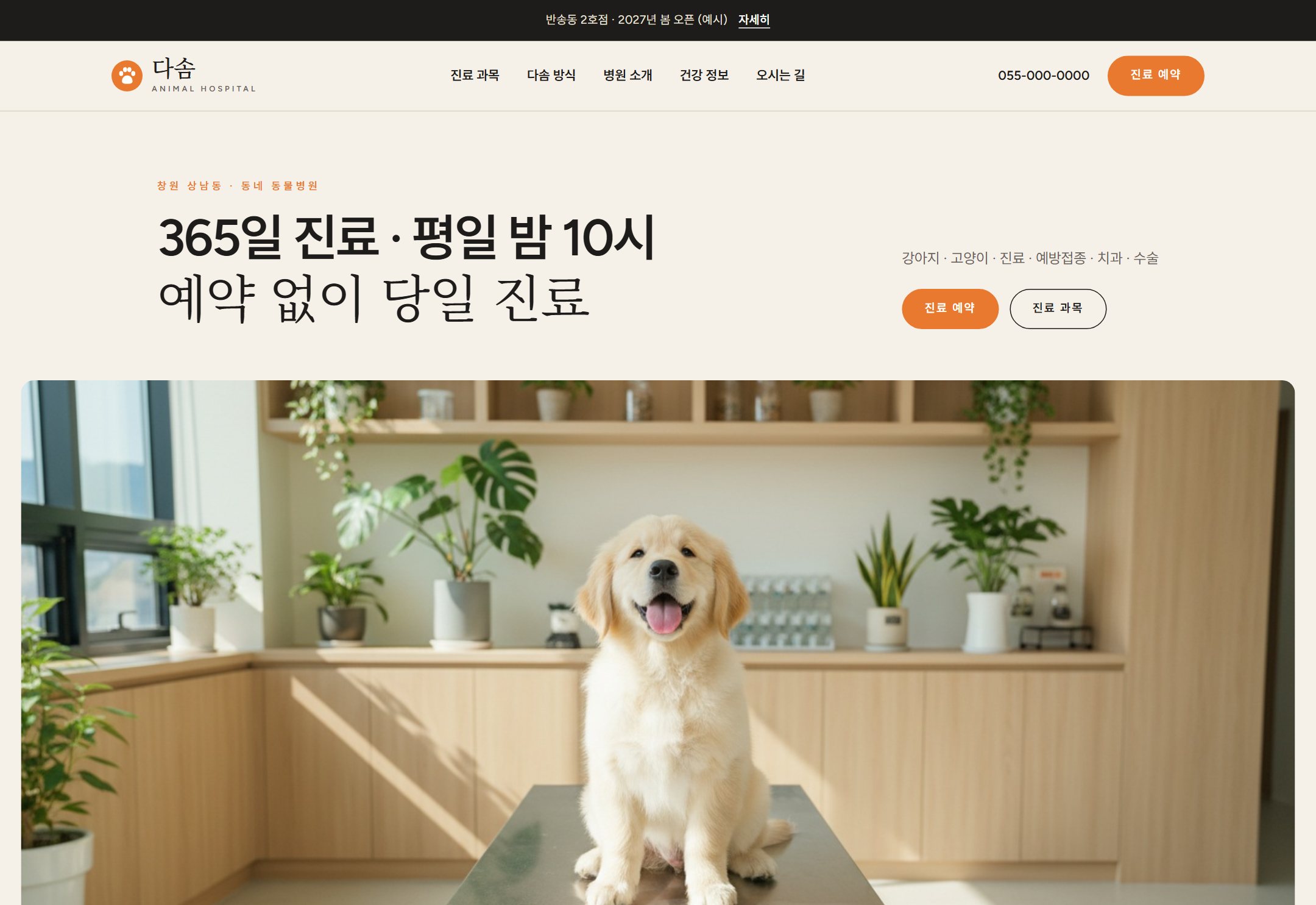 다솜 동물병원 동물병원 홈페이지