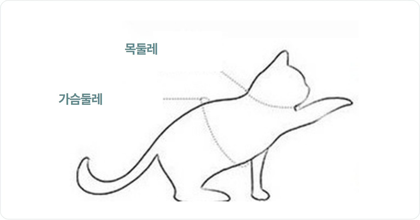 결과 한국어 측정 도해