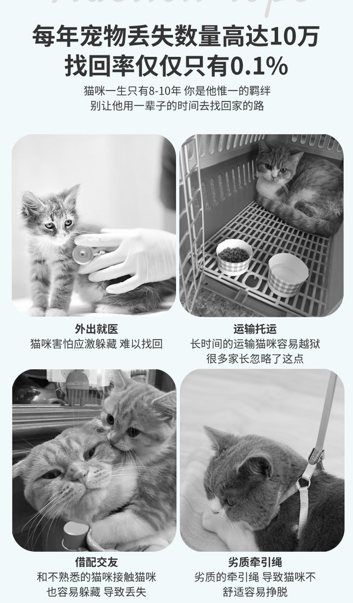 원본 분실 통계 구간